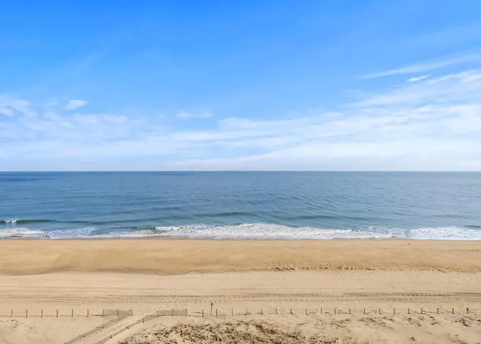 Golden Surf 801